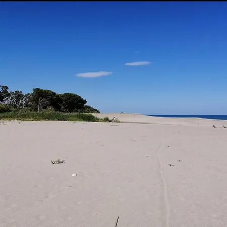 Apartment A Un Passo Dal Mare